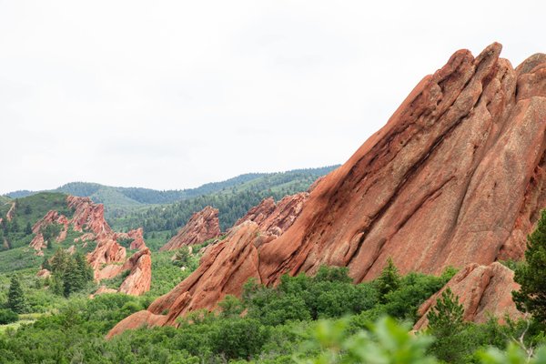 les formations les plus adaptées pour améliorer ses compétences en gestion de projet